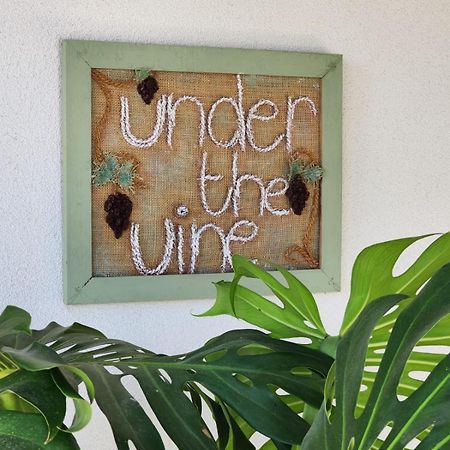 Apartamento Under The Vine Garden House Platánion Exterior foto